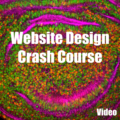 Website Design Crash Course Video Guide